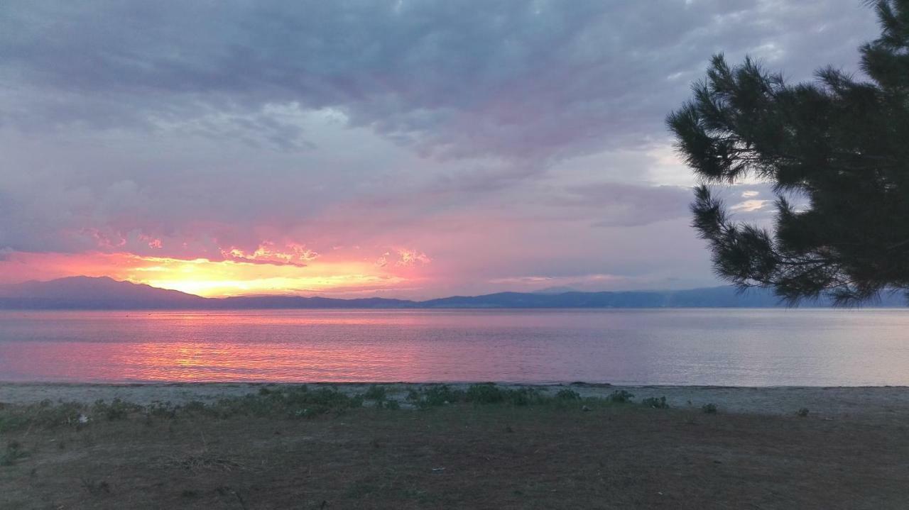 Villa Palma Skala Rachoni  Buitenkant foto
